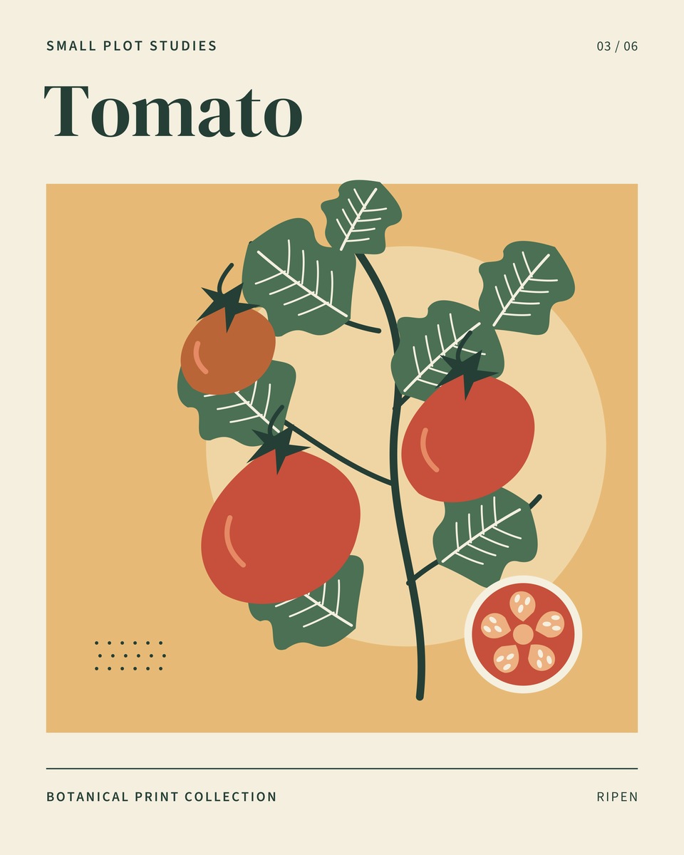 Red tomatoes on a branching green vine, with a cut tomato showing its seed chambers, on warm ochre.
